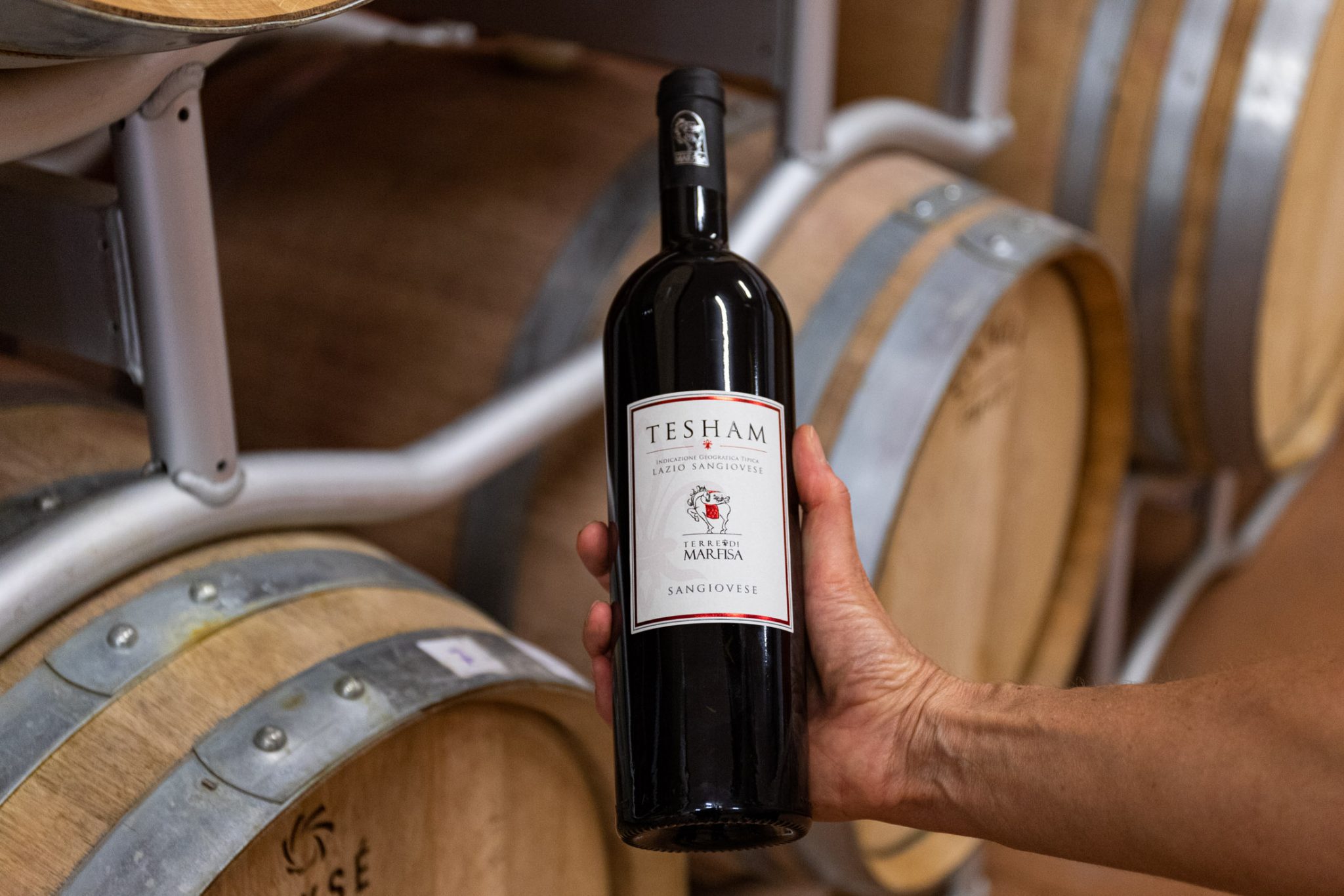 Vigneti e campagna di Terre di Marfisa a Farnese nella Tuscia