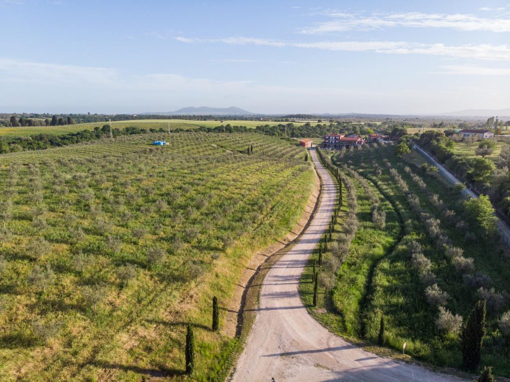 Vista aerea dei vigneti Terre di Marfisa a Farnese