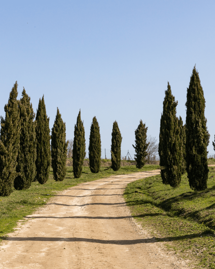 Il Podere di Marfisa - wine resort nella Tuscia a Farnese